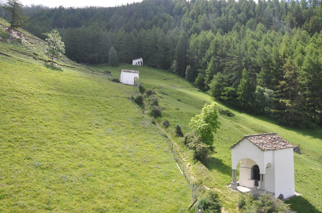 Hotel Gebidem Visperterminen Dış mekan fotoğraf